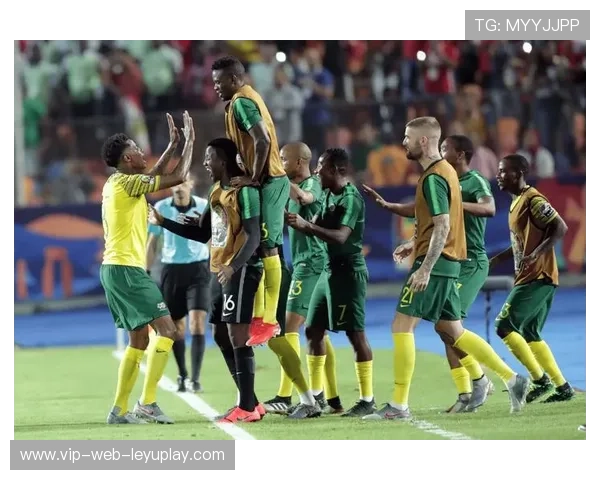 南非防守反击稳健，成功晋级下一轮，南非fal