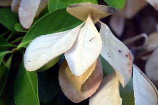 乐鱼体育App下载-法甲防守阵型转换与对手控球比变化的动态关系研究，法国足球防守型中场