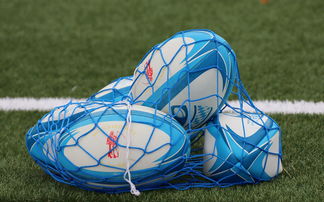 乐鱼体育App下载-法国橄榄球赛事的票房和赞助收入创历史新高，法国橄榄球国家队