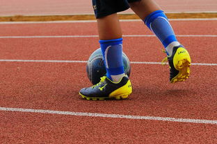 乐鱼体育App下载-2024青少年体育产业融合发展大会隆重召开，青少年体育运动协会